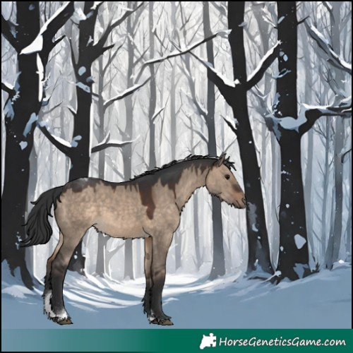 Horse Color:Brown Dun Tobiano 