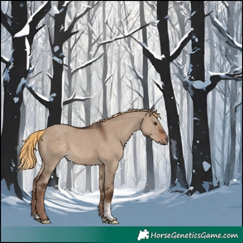 Horse Color:Liver Red Dun Tobiano 