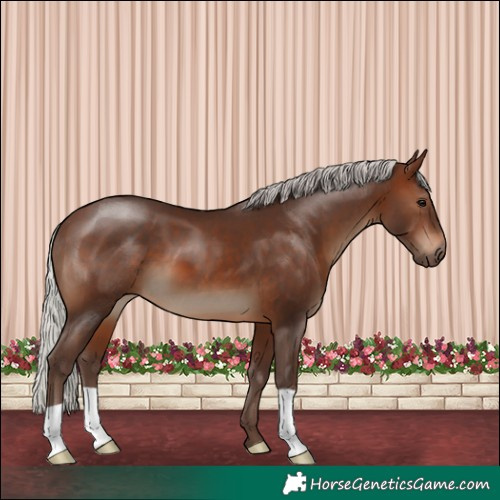 Horse Color:Silver Brown 