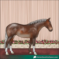 Horse Color:Silver Brown 