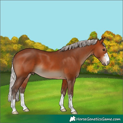 Horse Color:Silver Brown 