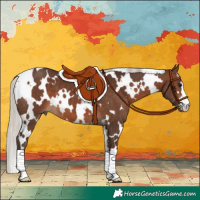 Horse Color:White Spotted Silver Brown