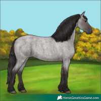 Horse Color:Smoky Grullo Roan 