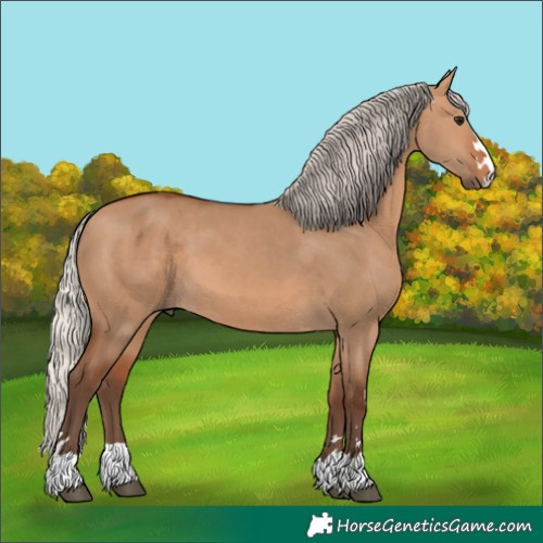 Horse Color:Silver Bay Dun