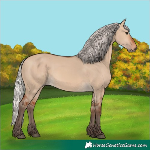 Horse Color:Silver Bay Dun
