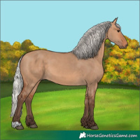 Horse Color:Silver Bay Dun 