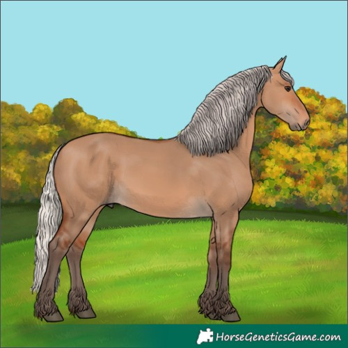 Horse Color:Silver Bay Dun 