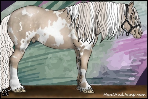 Horse Color:White Spotted Chocolate Palomino Pearl 