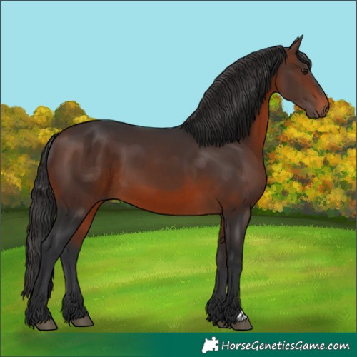 Horse Color:Brown 