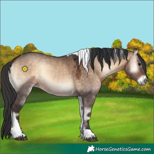 Horse Color:Bay Onyx Tobiano