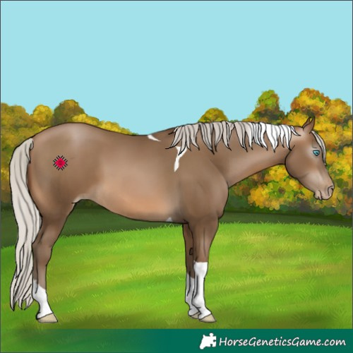 Horse Color:Gray Silver Buckskin Pearl Tobiano 