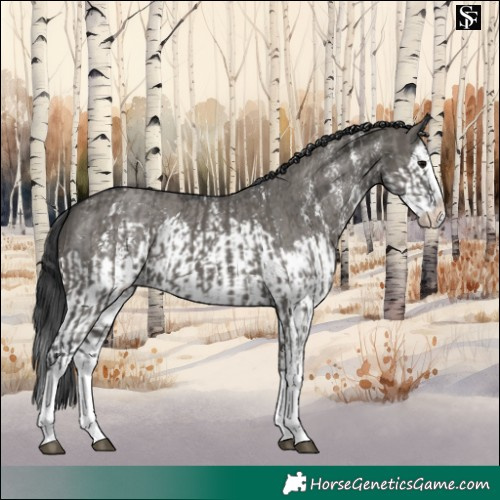 Horse Color:Grullo Sabino Splash  and Grullo Sabino Splash 