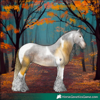 Horse Color:Gray Brown Roan Tobiano Rabicano 