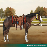 Horse Color:Liver Chestnut