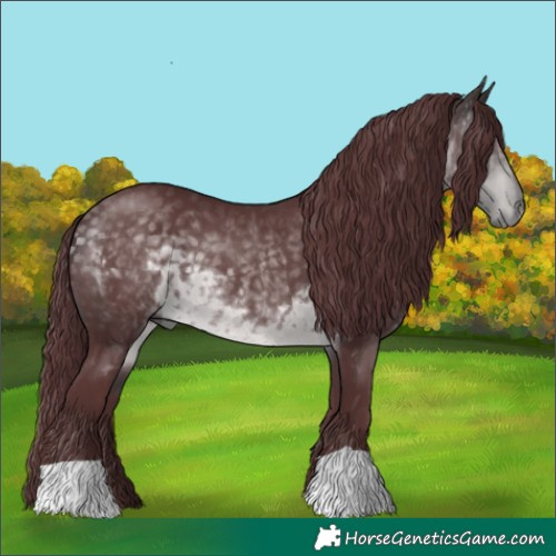 Horse Color:Platinum Chocolate Buckskin 