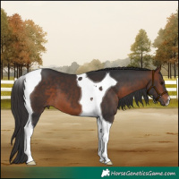Horse Color:Bay Tobiano 
