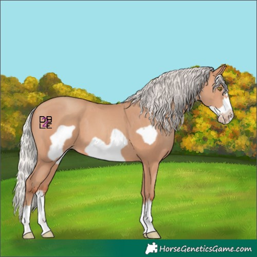 Horse Color:Silver Amber Champagne Frame 