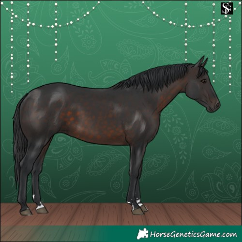 Horse Color:Brown 