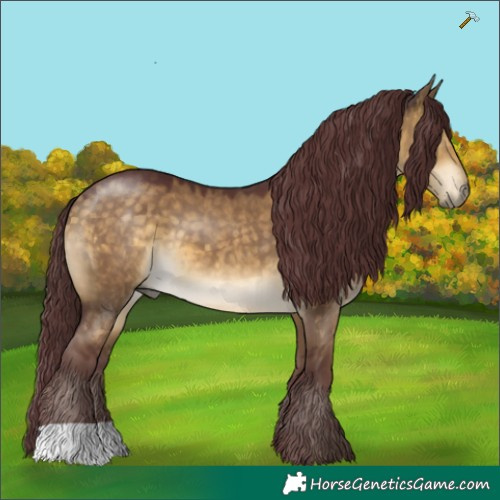 Horse Color:Chocolate Buckskin Dun 