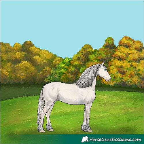 Horse Color:Cremello Dun 