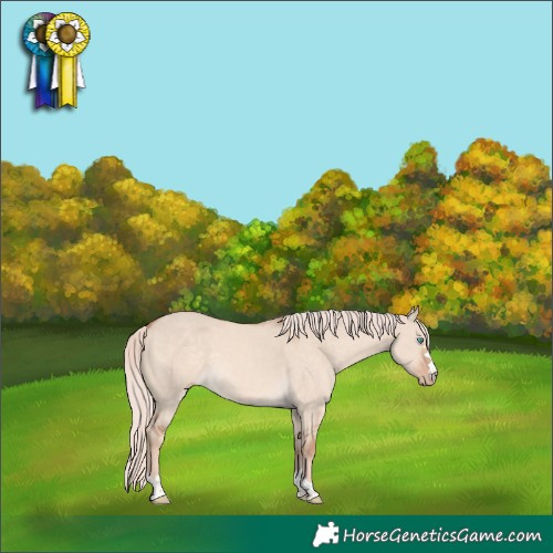 Horse Color:Cremello Dun 