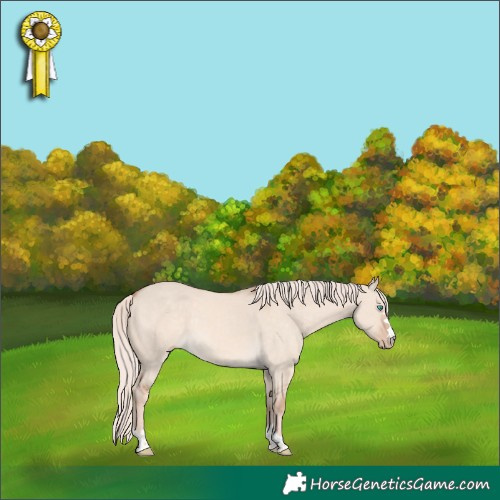 Horse Color:Cremello Dun 