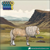 Horse Color:Silver Buckskin Dun Splash Tobiano  and Chocolate Palomino Dun Splash Appaloosa 