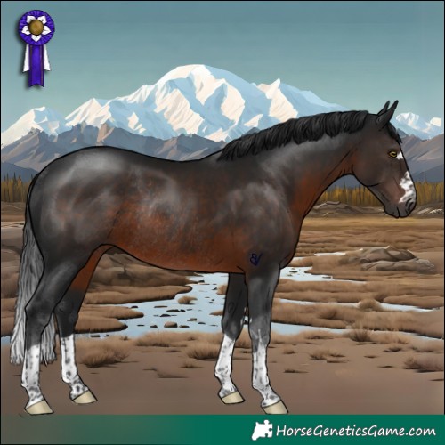 Horse Color:Gray Brown Rabicano