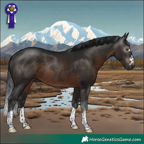 Horse Color:Gray Brown Rabicano 