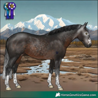 Horse Color:Gray Brown Rabicano