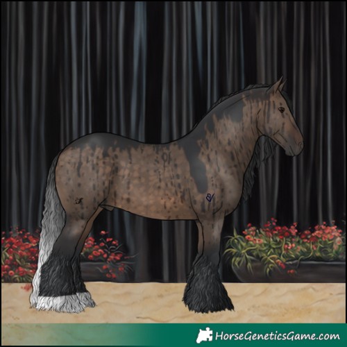 Horse Color:Brown Dun Brindle 