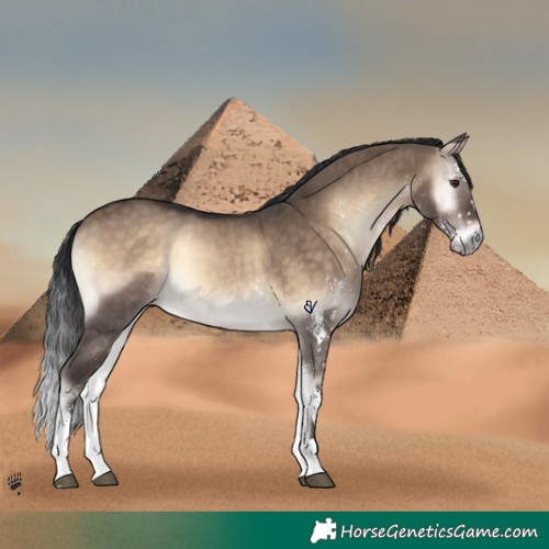 Horse Color:White Spotted Brown Onyx 