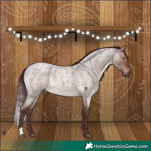 Horse Color:Chocolate Brown Roan Dun Brindle 