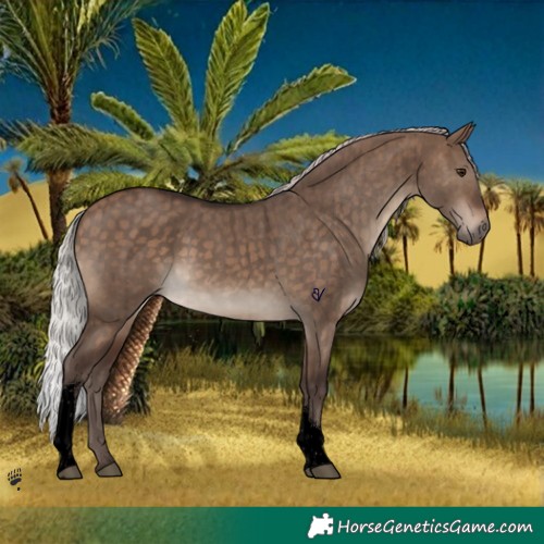 Horse Color:Void Silver Brown Dun Tobiano Brindle