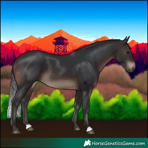 Horse Color:Brown 