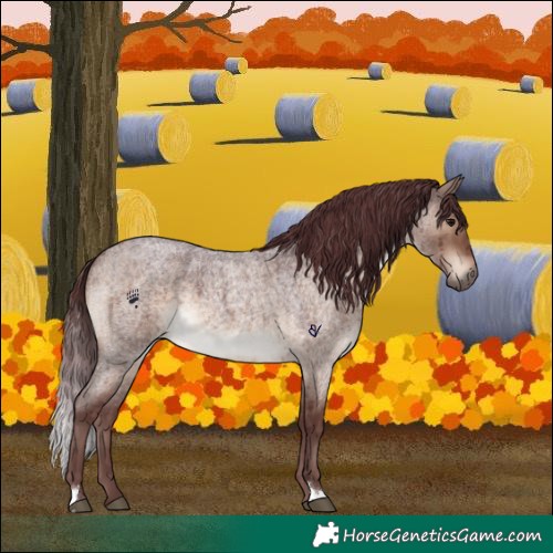 Horse Color:Chocolate Brown Roan Dun Brindle 