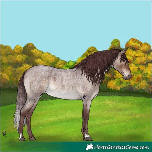 Horse Color:Chocolate Brown Roan Dun Brindle