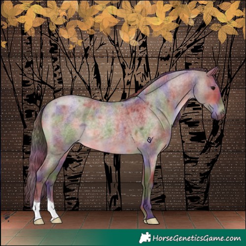 Horse Color:Nacre Chocolate Brown Roan Dun 