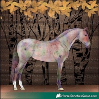 Horse Color:Nacre Chocolate Brown Roan Dun