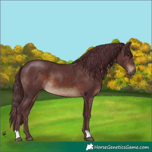 Horse Color:Chocolate Brown