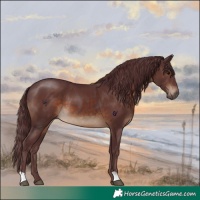 Horse Color:Chocolate Brown 