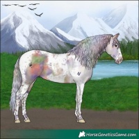 Horse Color:Nacre Silver Brown Dun Splash Tobiano Frame 