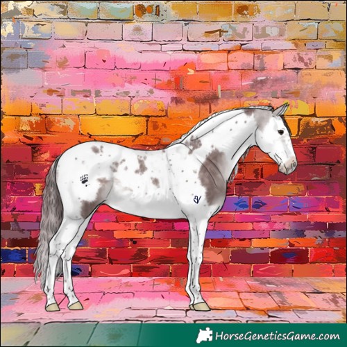 Horse Color:Platinum Chocolate Brown Dun Splash Tobiano Frame 