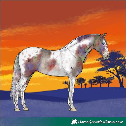 Horse Color:Nacre Silver Brown Dun Splash Tobiano Frame Brindle 