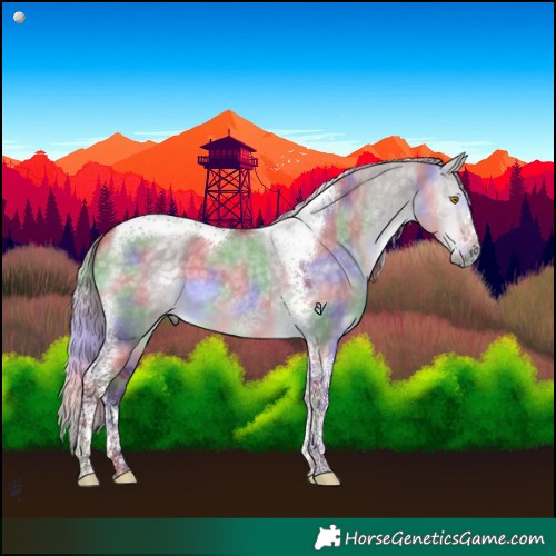 Horse Color:Platinum Nacre Chocolate Silver Buckskin Dun Tobiano Frame 