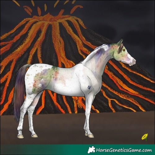 Horse Color:Nacre Buckskin Dun Tobiano Frame Brindle 