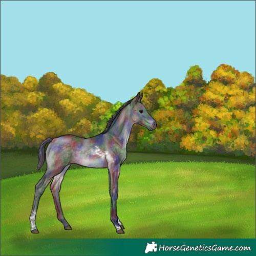 Horse Color:Platinum Nacre Brown Dun Tobiano Rabicano 