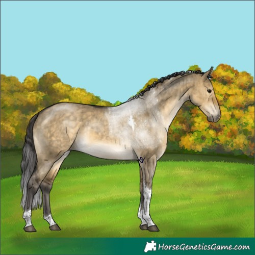 Horse Color:Buckskin Dun Tobiano Brindle 