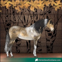 Horse Color:Buckskin Dun Tobiano Brindle 
