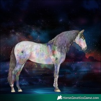 Horse Color:Platinum Nacre Buckskin Dun Tobiano Rabicano Brindle 
